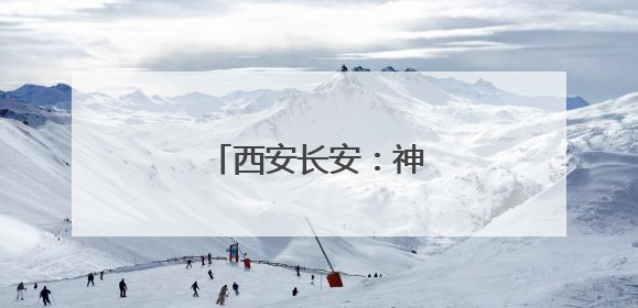 西安长安：神禾塬上麦收忙