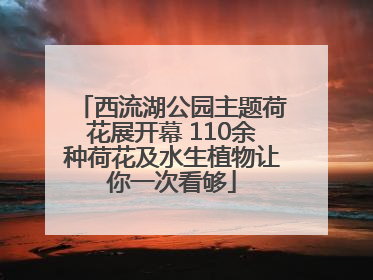 西流湖公园主题荷花展开幕 110余种荷花及水生植物让你一次看够