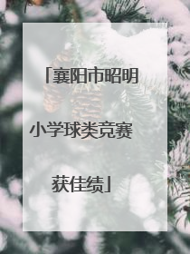 襄阳市昭明小学球类竞赛获佳绩