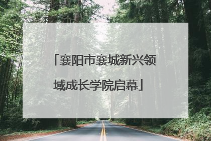 襄阳市襄城新兴领域成长学院启幕