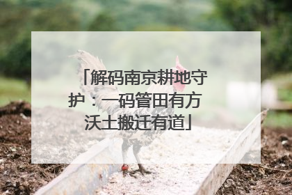 解码南京耕地守护：一码管田有方 沃土搬迁有道