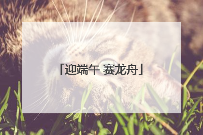迎端午 赛龙舟