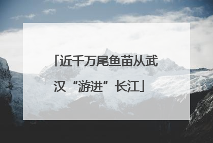 近千万尾鱼苗从武汉“游进”长江