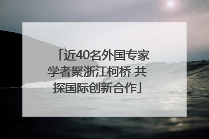 近40名外国专家学者聚浙江柯桥 共探国际创新合作