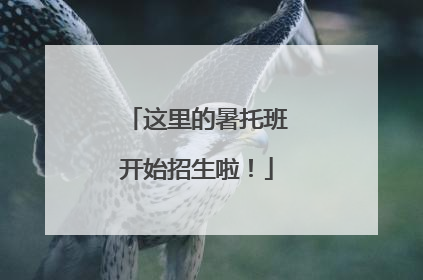 这里的暑托班开始招生啦！