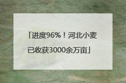 进度96%！河北小麦已收获3000余万亩