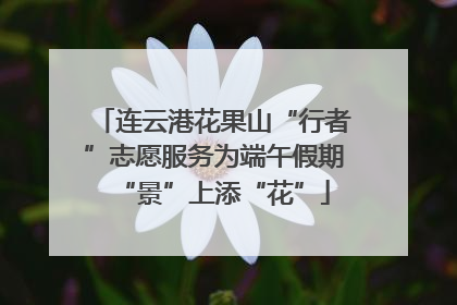 连云港花果山“行者”志愿服务为端午假期“景”上添“花”