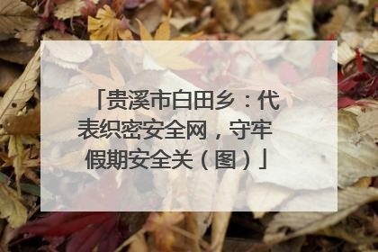 贵溪市白田乡：代表织密安全网，守牢假期安全关（图）