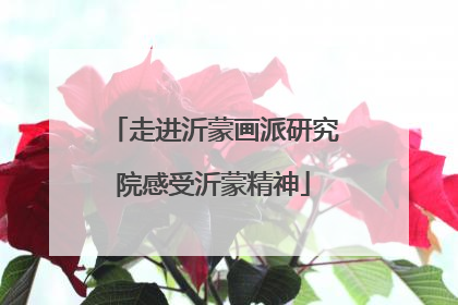 走进沂蒙画派研究院感受沂蒙精神