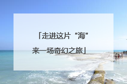 走进这片“海”来一场奇幻之旅