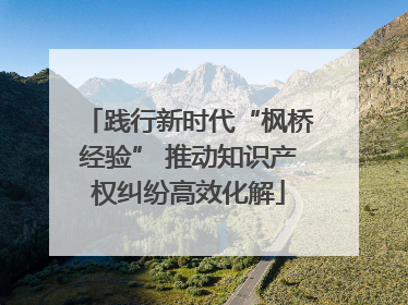 践行新时代“枫桥经验” 推动知识产权纠纷高效化解