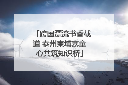 跨国漂流书香载道 泰州柬埔寨童心共筑知识桥