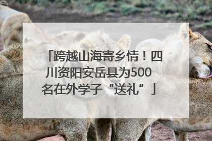 跨越山海寄乡情！四川资阳安岳县为500名在外学子“送礼”