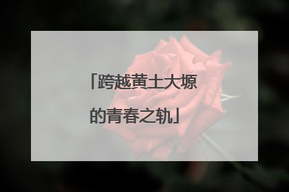跨越黄土大塬的青春之轨