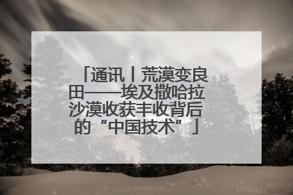通讯丨荒漠变良田——埃及撒哈拉沙漠收获丰收背后的“中国技术”