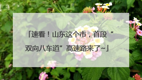 速看！山东这个市，首段“双向八车道”高速路来了~