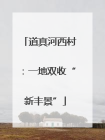 道真河西村：一地双收“新丰景”