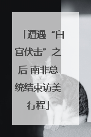 遭遇“白宫伏击”之后 南非总统结束访美行程
