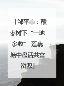 邹平市：酸枣树下“一地多收” 莲藕塘中盘活共富资源