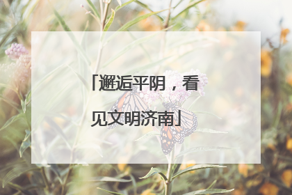 邂逅平阴，看见文明济南
