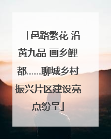 邑路繁花 沿黄九品 画乡鲤都……聊城乡村振兴片区建设亮点纷呈
