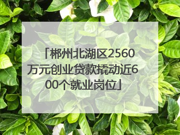 郴州北湖区2560万元创业贷款撬动近600个就业岗位