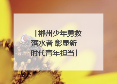 郴州少年勇救落水者 彰显新时代青年担当
