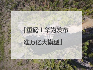 重磅！华为发布准万亿大模型