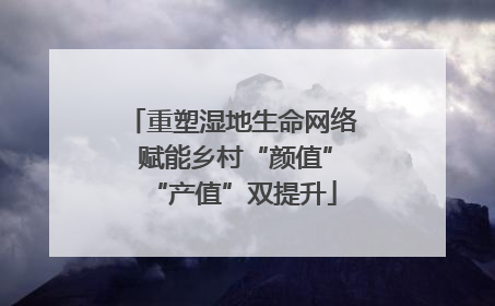 重塑湿地生命网络 赋能乡村“颜值”“产值”双提升