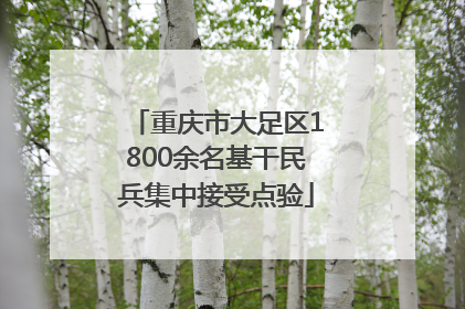重庆市大足区1800余名基干民兵集中接受点验
