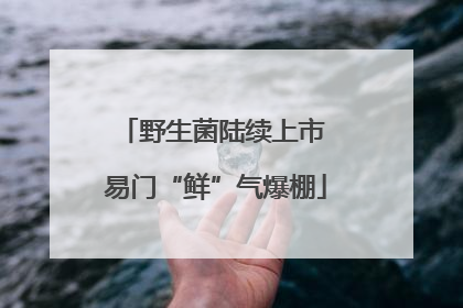 野生菌陆续上市 易门“鲜”气爆棚