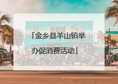 金乡县羊山镇举办促消费活动