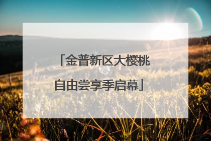 金普新区大樱桃自由尝享季启幕