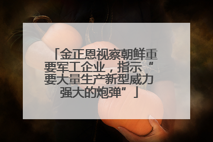 金正恩视察朝鲜重要军工企业，指示“要大量生产新型威力强大的炮弹”