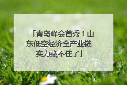 青岛峰会首秀！山东低空经济全产业链实力藏不住了