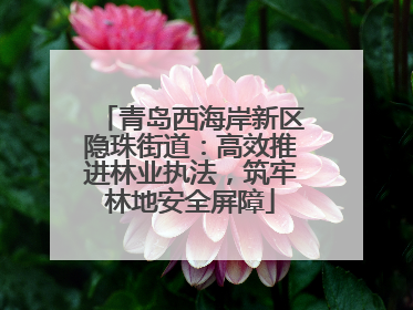 青岛西海岸新区隐珠街道：高效推进林业执法，筑牢林地安全屏障