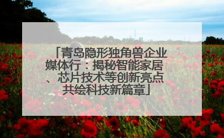 青岛隐形独角兽企业媒体行：揭秘智能家居、芯片技术等创新亮点 共绘科技新篇章