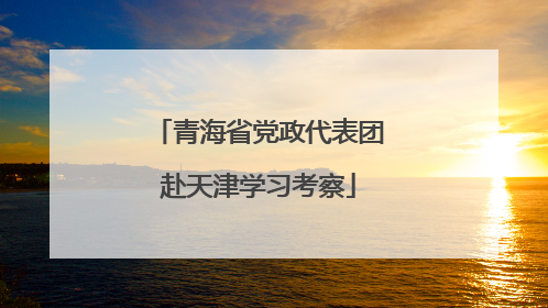 青海省党政代表团赴天津学习考察