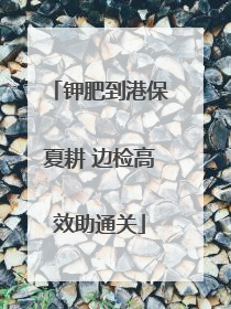 钾肥到港保夏耕 边检高效助通关