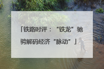 铁路时评：“铁龙”驰骋解码经济“脉动”
