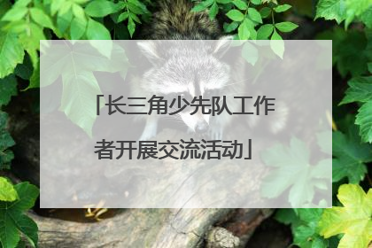 长三角少先队工作者开展交流活动