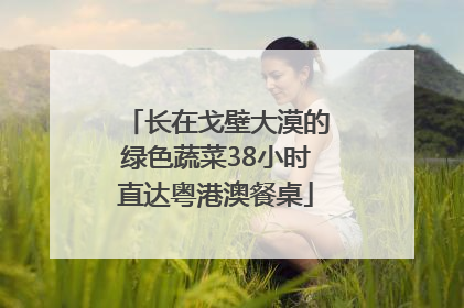 长在戈壁大漠的绿色蔬菜38小时直达粤港澳餐桌