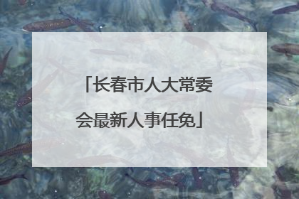 长春市人大常委会最新人事任免