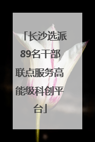 长沙选派89名干部联点服务高能级科创平台
