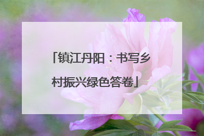 镇江丹阳：书写乡村振兴绿色答卷