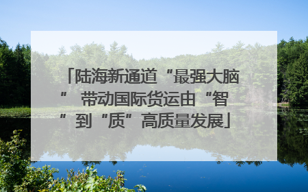 陆海新通道“最强大脑” 带动国际货运由“智”到“质”高质量发展