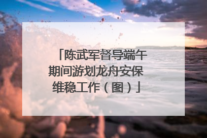 陈武军督导端午期间游划龙舟安保维稳工作（图）