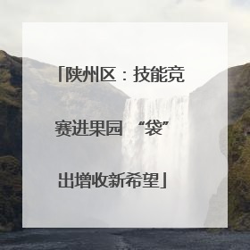 陕州区：技能竞赛进果园 “袋”出增收新希望