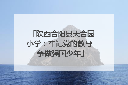 陕西合阳县天合园小学：牢记党的教导 争做强国少年