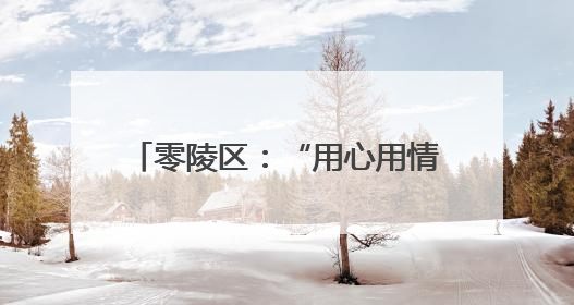 零陵区：“用心用情用力”绘就“中药香”特色小镇新画卷